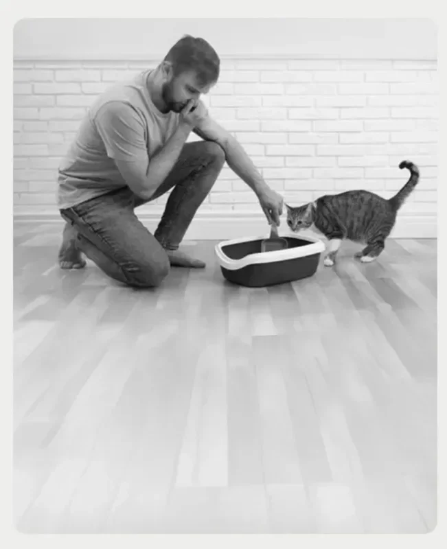 Origin Neakasa M1 Large Low noise Odor Eliminator App Control Intelligent Electric Self Cleaning Smart Automatic Cat Litter Box Origin Neakasa M1 Large Low noise Odor Eliminator App Control Intelligent Electric Self Cleaning Smart Automatic Cat Litter Box