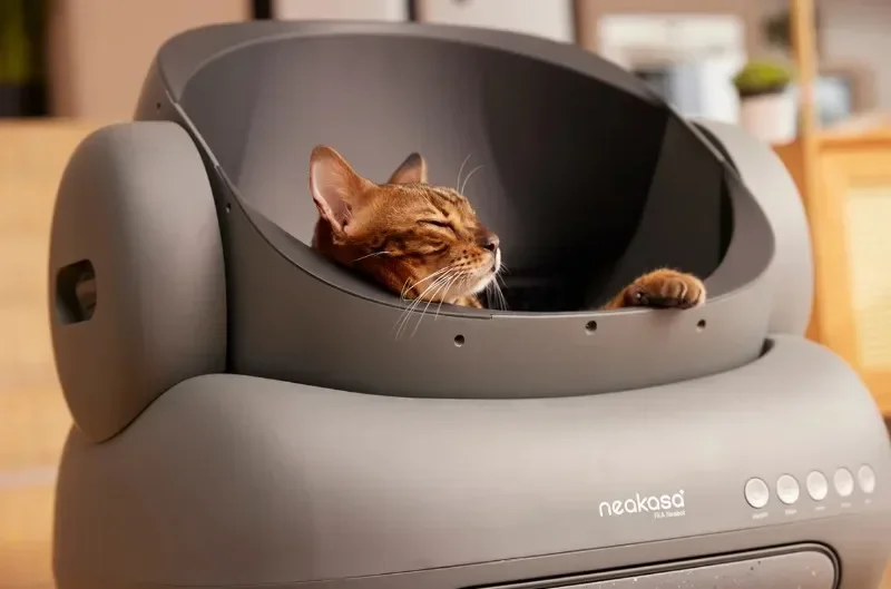 Origin Neakasa M1 Large Low noise Odor Eliminator App Control Intelligent Electric Self Cleaning Smart Automatic Cat Litter Box Origin Neakasa M1 Large Low noise Odor Eliminator App Control Intelligent Electric Self Cleaning Smart Automatic Cat Litter Box