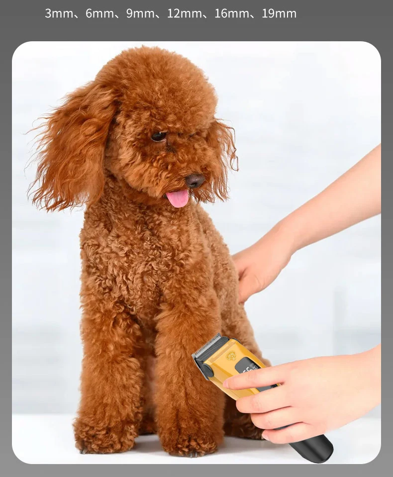 Pet Clipper Professional Dog Hair Trimmer Cat Grooming Shaver Type-C Charged Electric Puppy Cutting Machine for Small Big animal Pet Clipper Professional Dog Hair Trimmer Cat Grooming Shaver Type-C Charged Electric Puppy Cutting Machine for Small Big animal