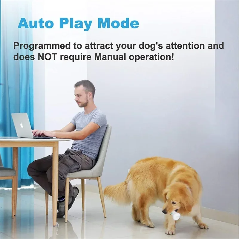 Wickedbone Smart Automatic & Interactive Bone Toys For Dogs And Cats App Control Safe & Durable Keep Your Pets Entertained Wickedbone Smart Automatic & Interactive Bone Toys For Dogs And Cats App Control Safe & Durable Keep Your Pets Entertained